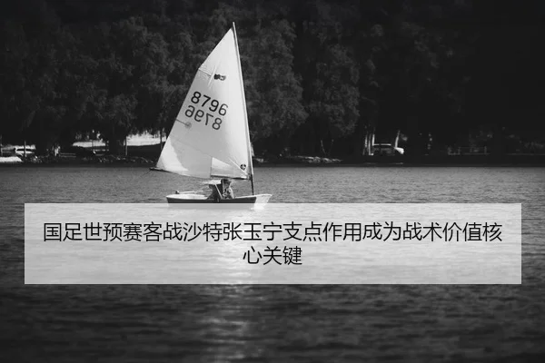 guo-zu-shi-yu-sai-ke-zhan-sha-te-zhang-yu-ning-zhi-dian-zuo-yong-cheng-wei-zhan-shu-jia-zhi-he-xin-guan-jian-2-209.jpg